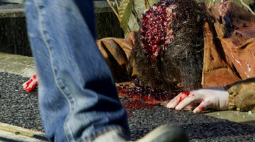 映画「雨あがりの君/Rain For The Dead」（氏賀Ｙ太原作漫画・実写化作品）特殊メイクアップ その３